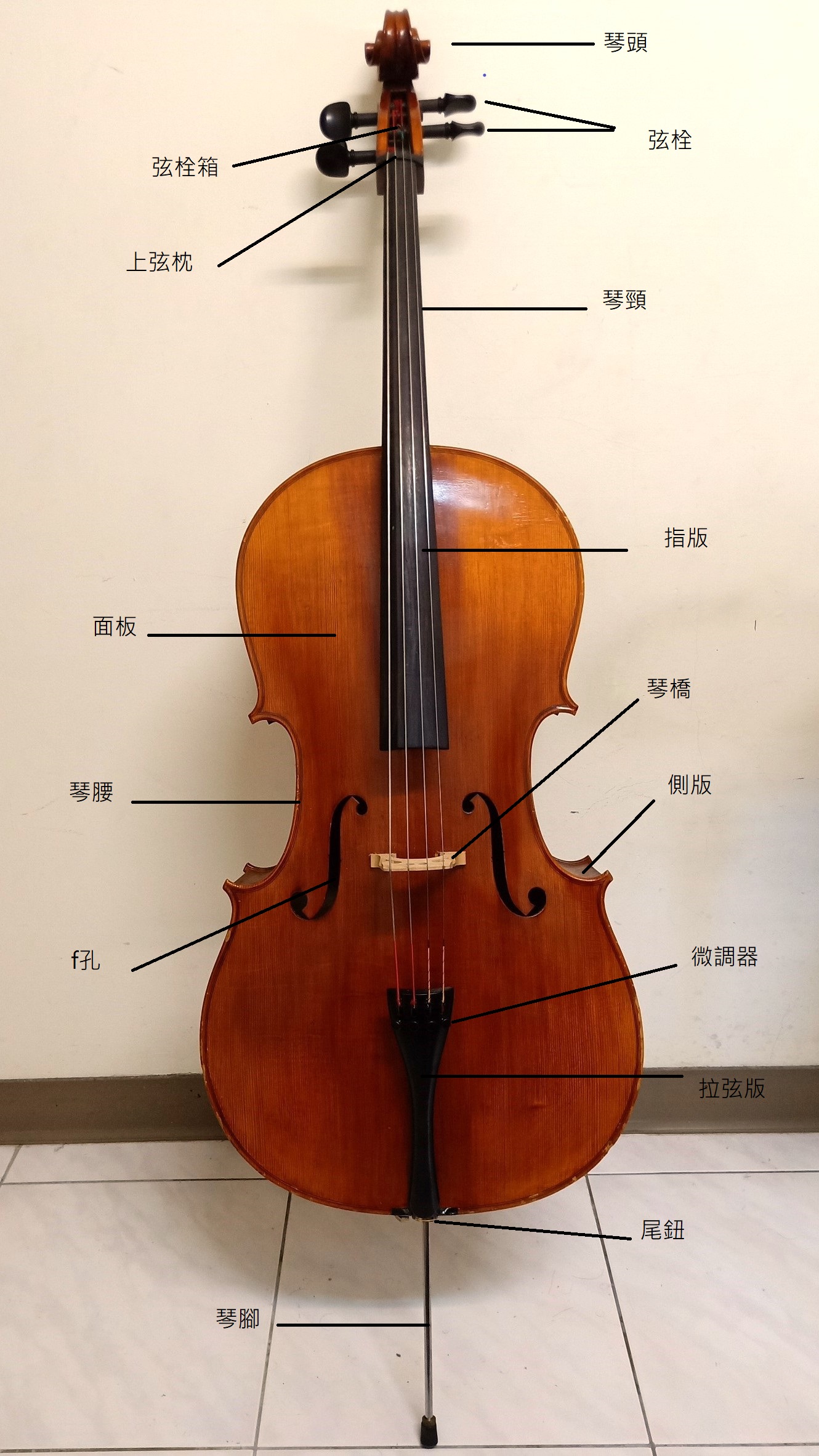 乐聚星期三 - 我“玩”中提琴---星海音乐厅